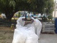 Listado de Clientes Satisfechos con el Servicio de Operadora Cenproaca